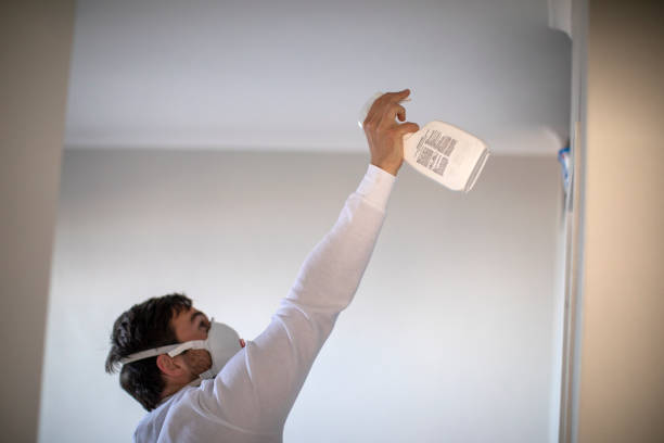 Best Emergency Mold Remediation in Orlinda, TN