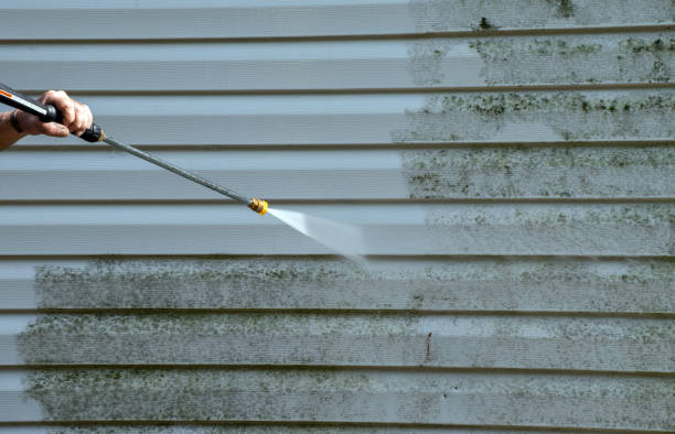 Best Commercial Mold Remediation in Orlinda, TN